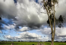 旺财28:4号绝杀传统?泰山队让三追四,荡气回肠的比赛,胜利实至名归!.