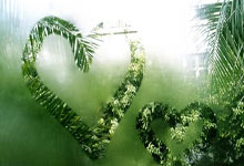 欧冠:皇家马德里5比2击败多特蒙德.